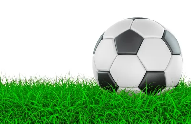 熊猫体育 品牌形象